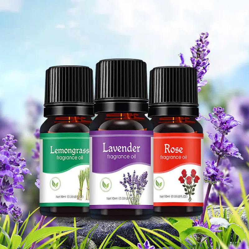 The Scents Range