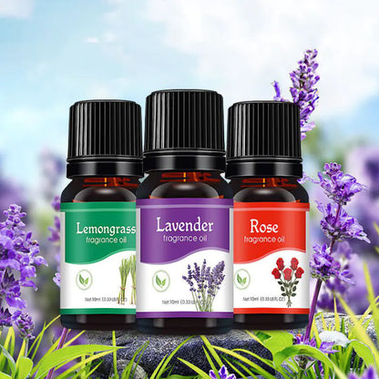 The Scents Range